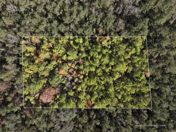 1.08 Mol Ac Old Hwy 24 Parcel 32, Mc Lain, MS 39456