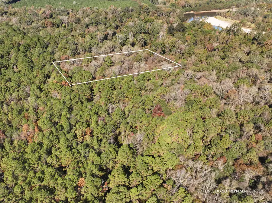 1.08 Mol Ac Old Hwy 24 Parcel 32, Mc Lain, MS 39456 - Image #2