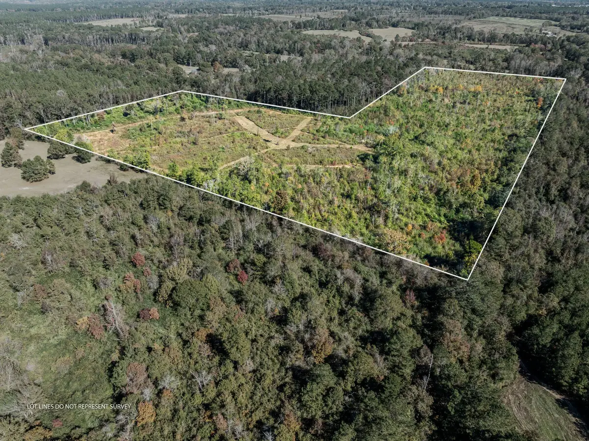 00 Lindsey, Mount Olive, MS 39119 - Image #1