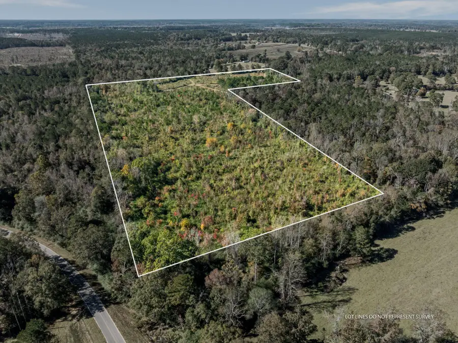 00 Lindsey, Mount Olive, MS 39119 - Image #2