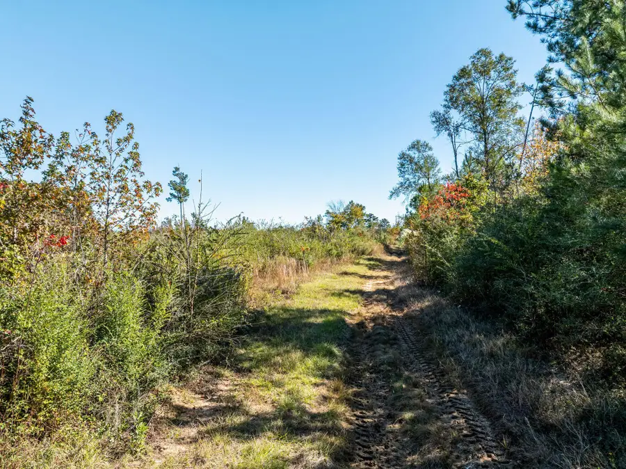 00 Lindsey, Mount Olive, MS 39119 - Image #3