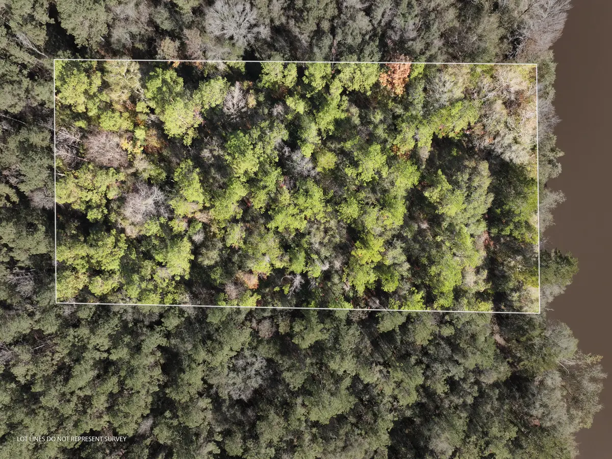 1.0 Mol Ac Old Hwy 24 Parcel 33, Mc Lain, MS 39456 - Image #1