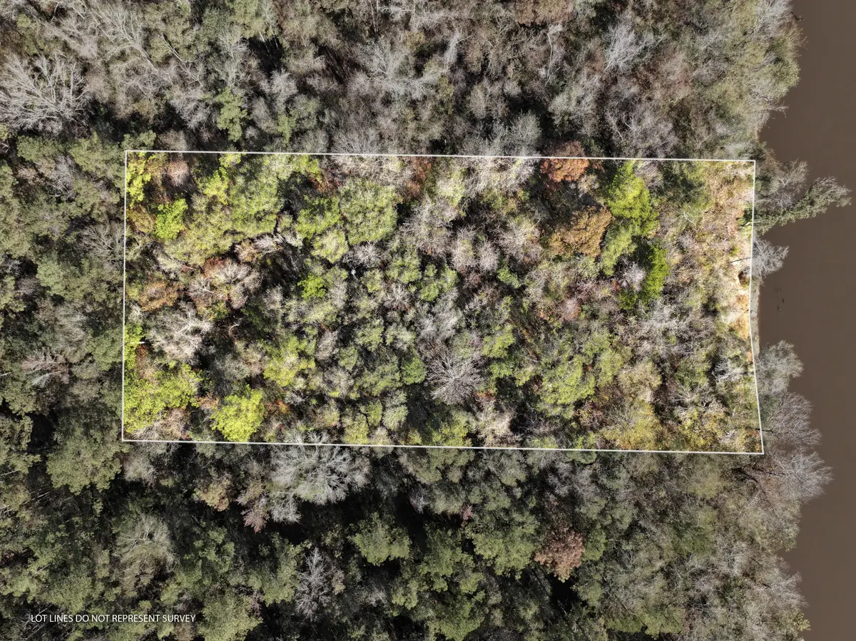 1.0 Mol Ac Old Hwy 24 Parcel 34, Mc Lain, MS 39456 - #1