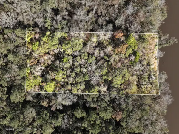 1.0 Mol Ac Old Hwy 24 Parcel 34, Mc Lain, MS 39456