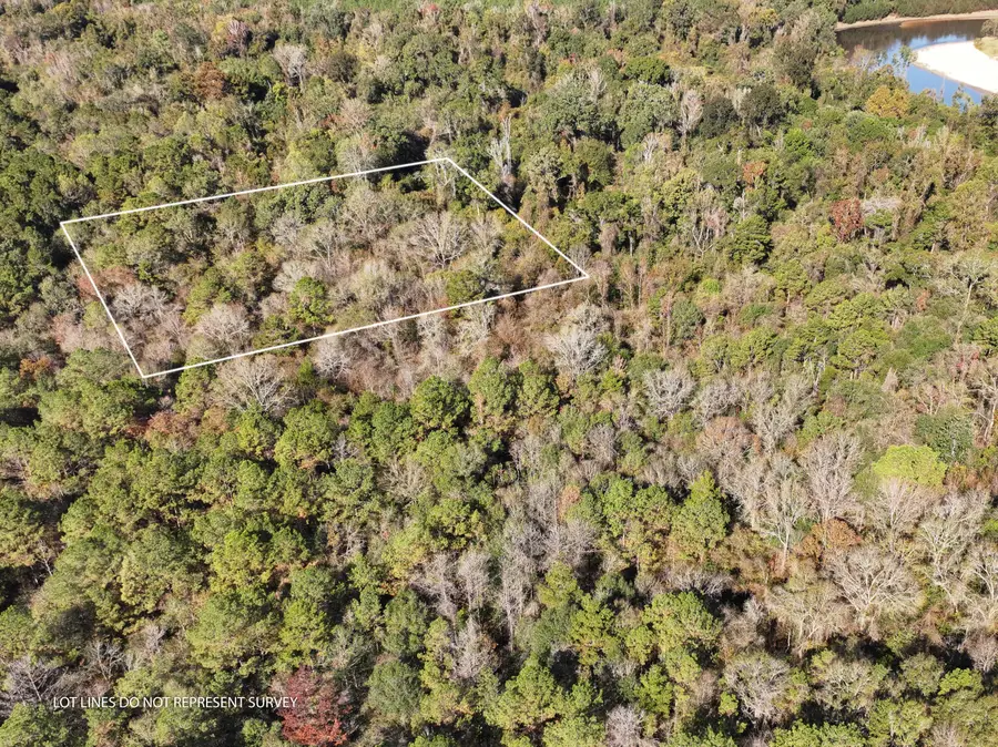 1.08 Mol Ac Old Hwy 24 Parcel 36, Mc Lain, MS 39456 - Image #2