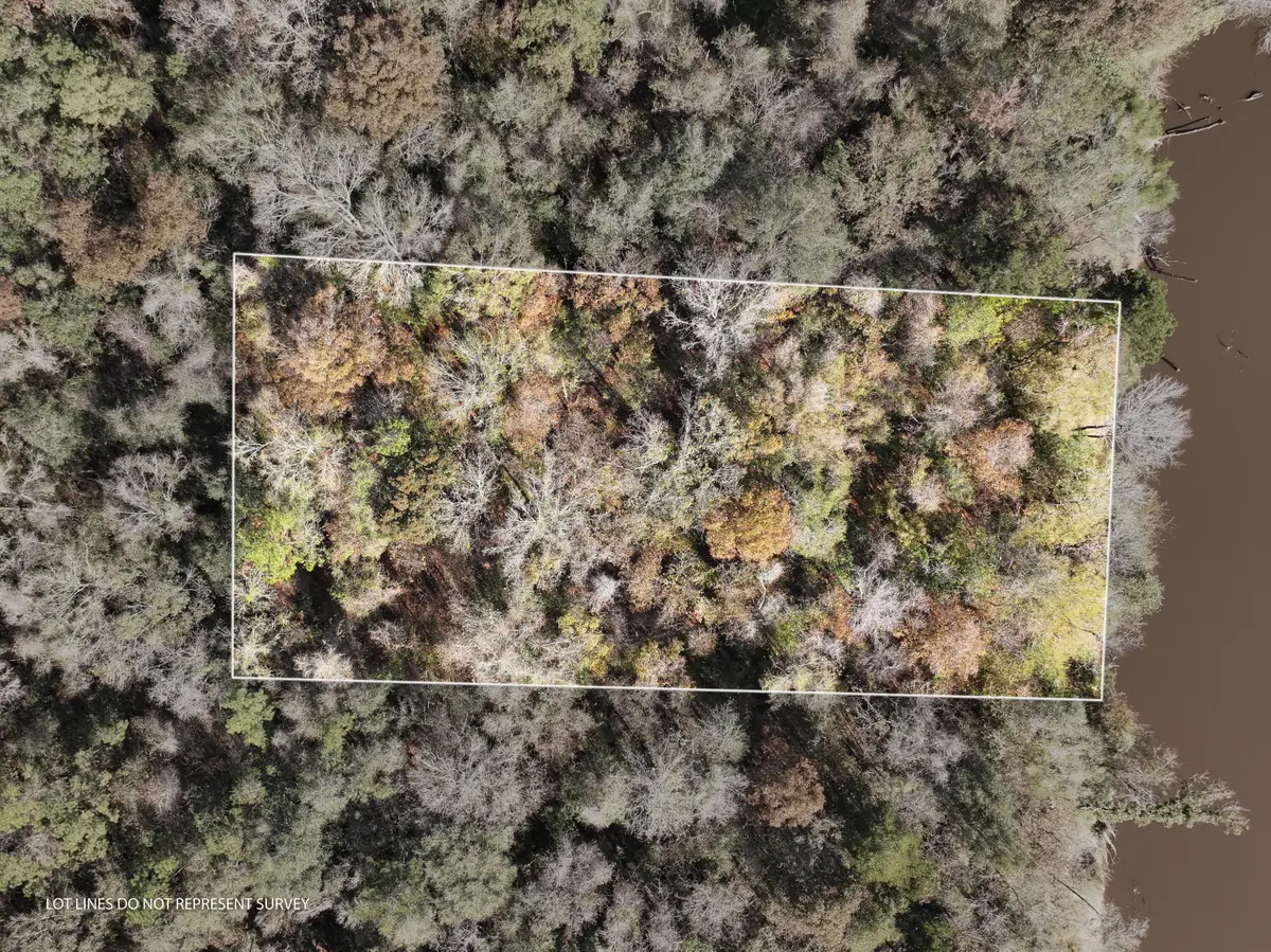 1.0 Mol Ac Old Hwy 24 Parcel 37, Mc Lain, MS 39456 - Image #1