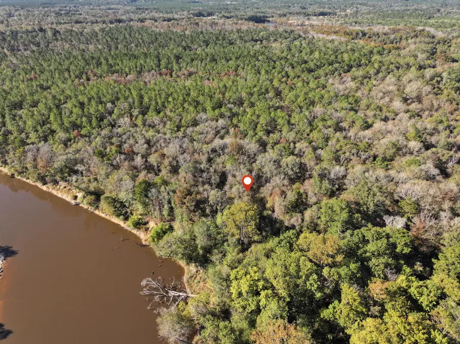 1.0 Mol Ac Old Hwy 24 Parcel 38, Mc Lain, MS 39456 - Image #3