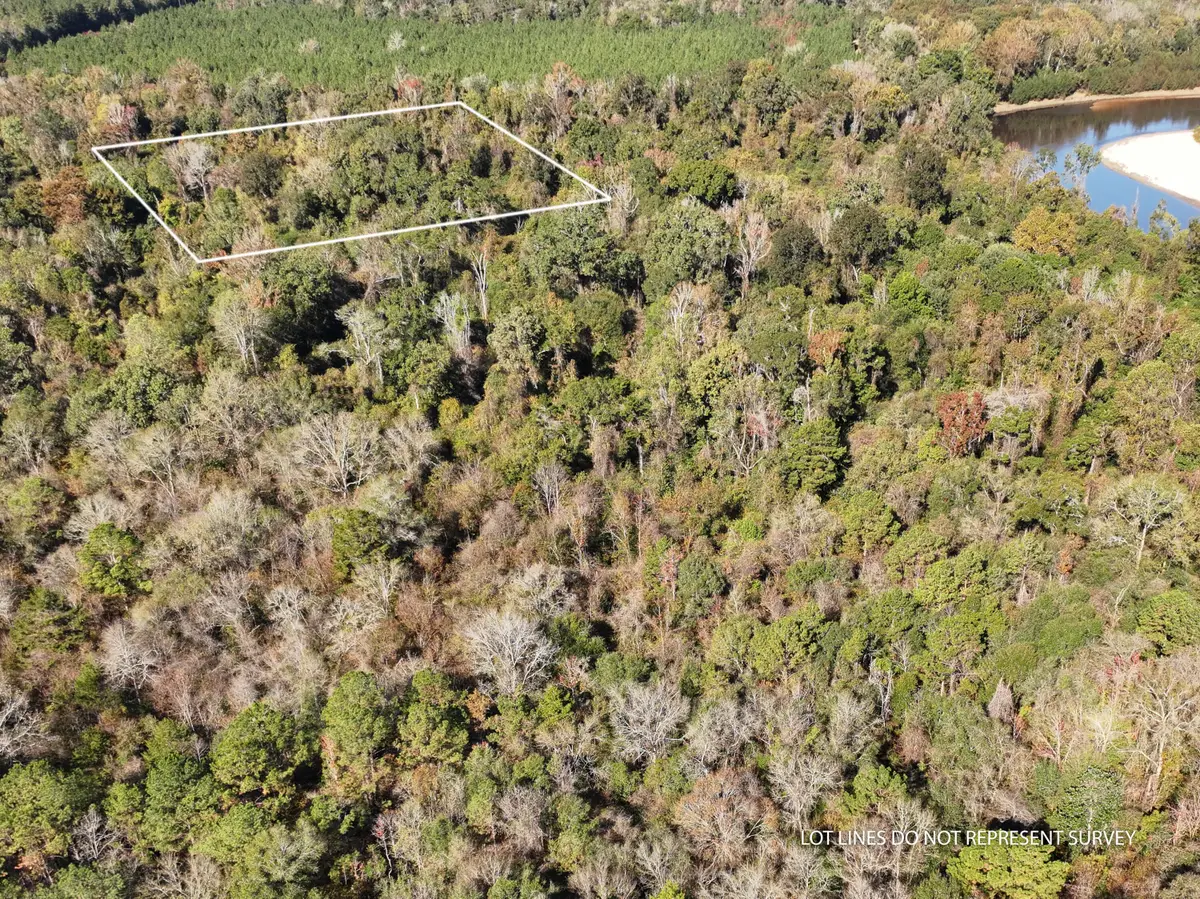 1.12 Mol Ac Old Hwy 24 Parcel 39, Mc Lain, MS 39456 - Image #1