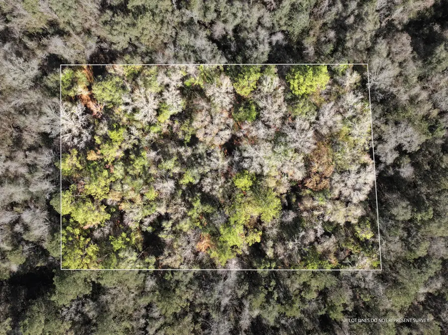 1.12 Mol Ac Old Hwy 24 Parcel 39, Mc Lain, MS 39456 - Image #2