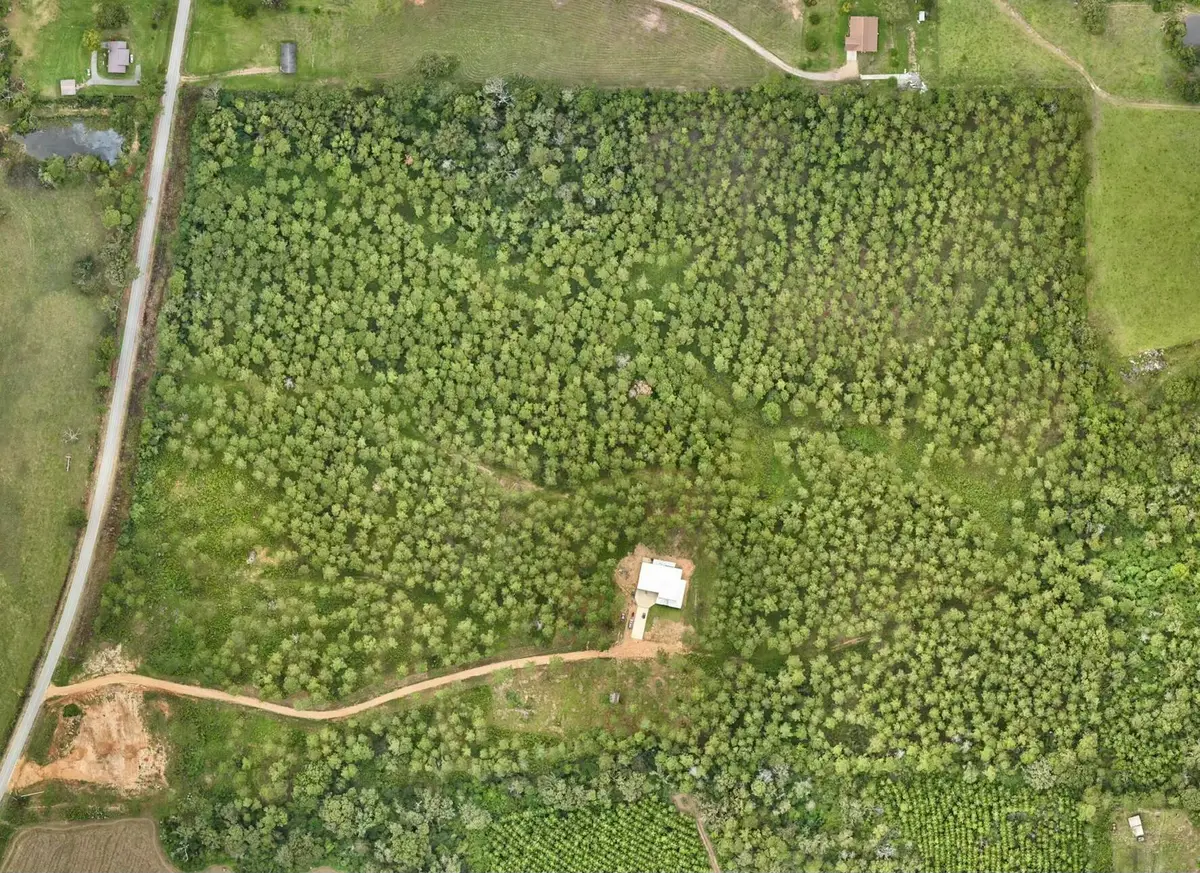 TBD Gates Rd., Columbia, MS 39429 - Image #1