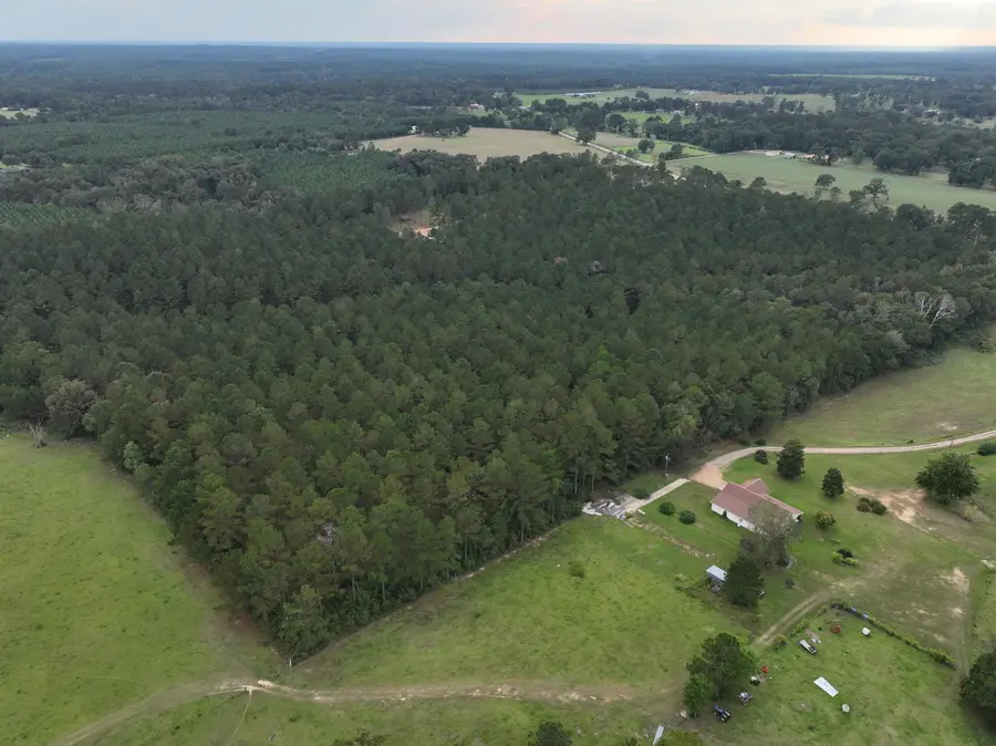 TBD Gates Rd., Columbia, MS 39429 - Image #2