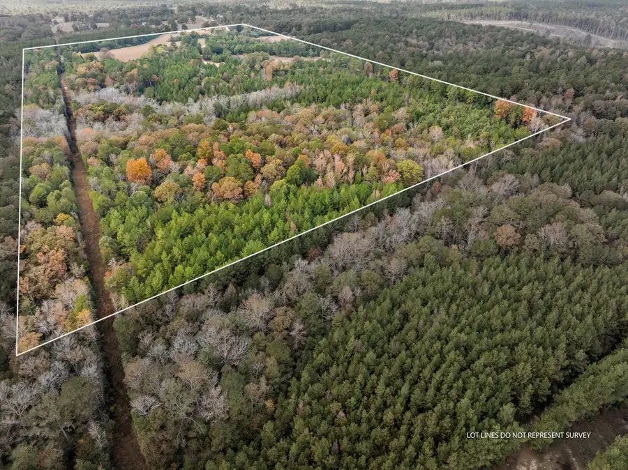 1565 Shubuta Eucutta Rd., Shubuta, MS 39360 - Image #3