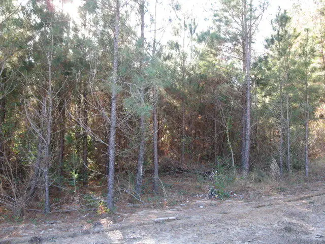 Lot 1 Parkview Estates, Ellisville, MS 39437 - Image #1
