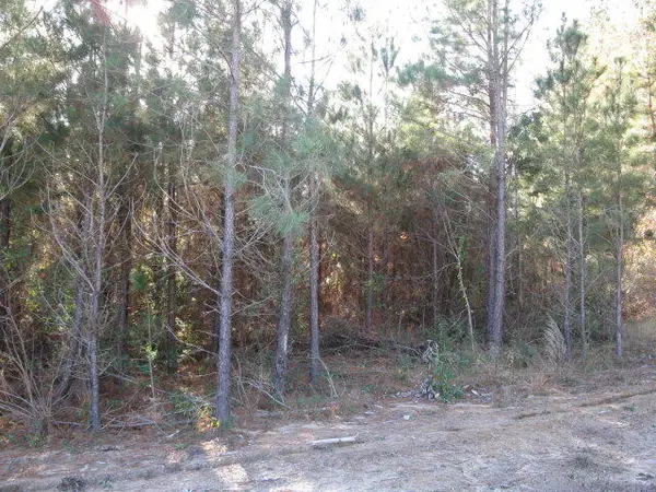 Lot 1 Parkview Estates, Ellisville, MS 39437