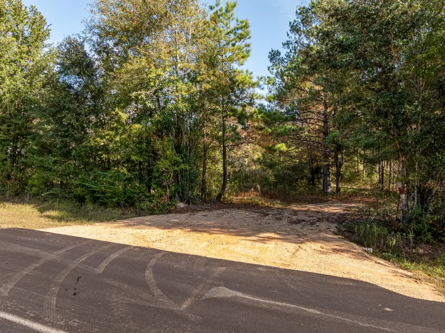 00 Beach Rd., Purvis, MS 39475 - Image #2