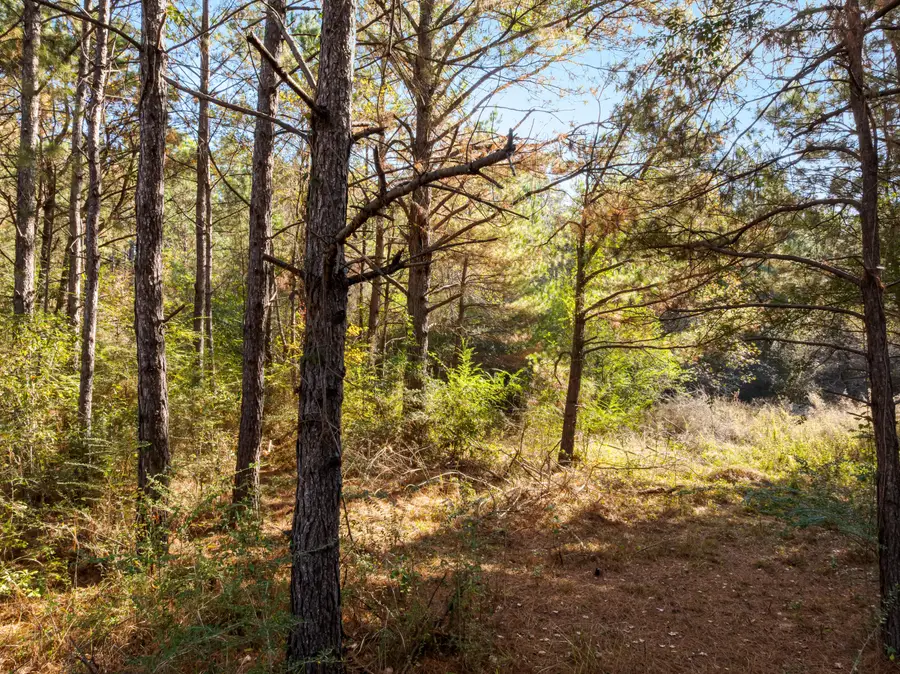 00 Beach Rd., Purvis, MS 39475 - Image #3