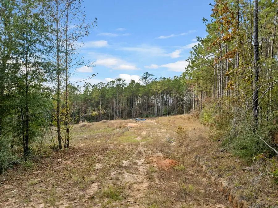 143 Luther Saucier, Lumberton, MS 39455 - Image #3