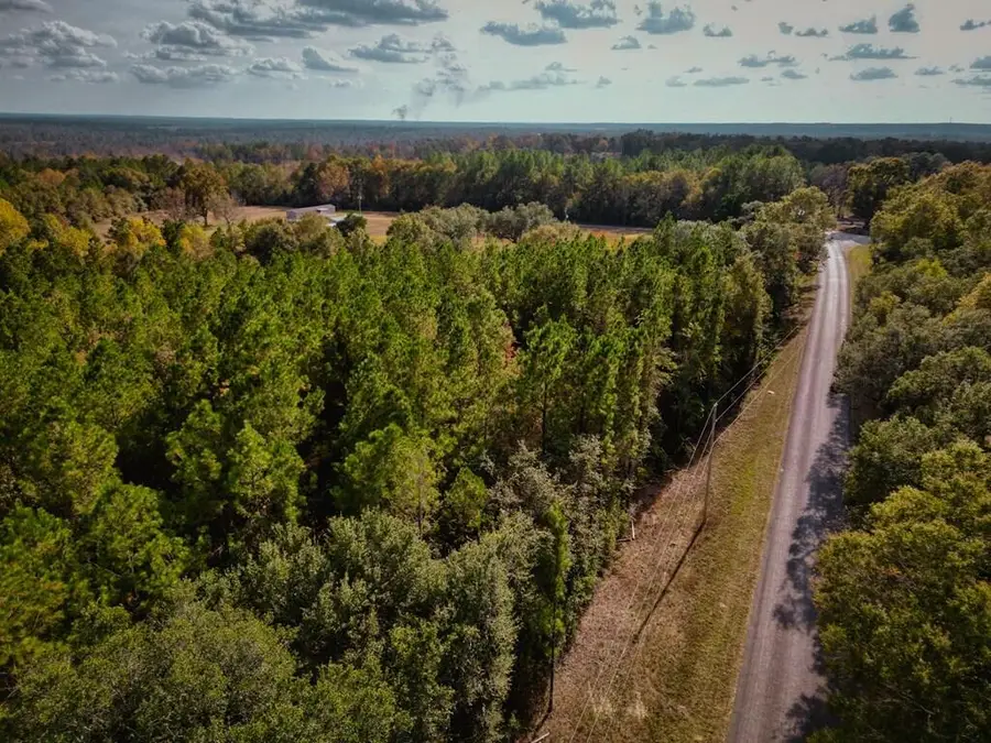 7.32+/- AC Oscar Lee Rd., Poplarville, MS 39470 - Image #2