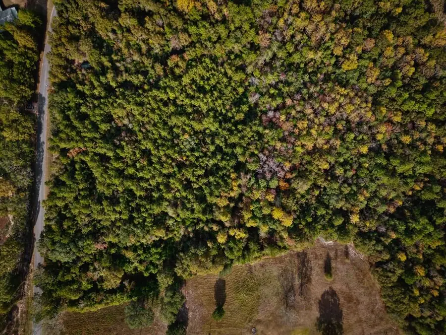 7.32+/- AC Oscar Lee Rd., Poplarville, MS 39470 - Image #3