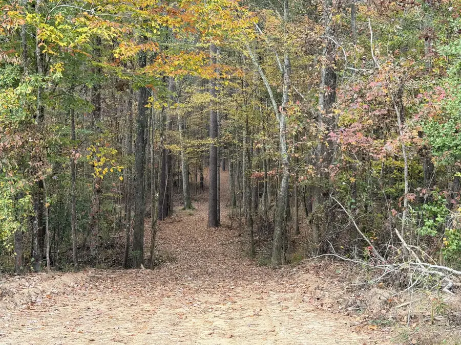 0 Cr 472, Meridian, MS 39301 - Image #2