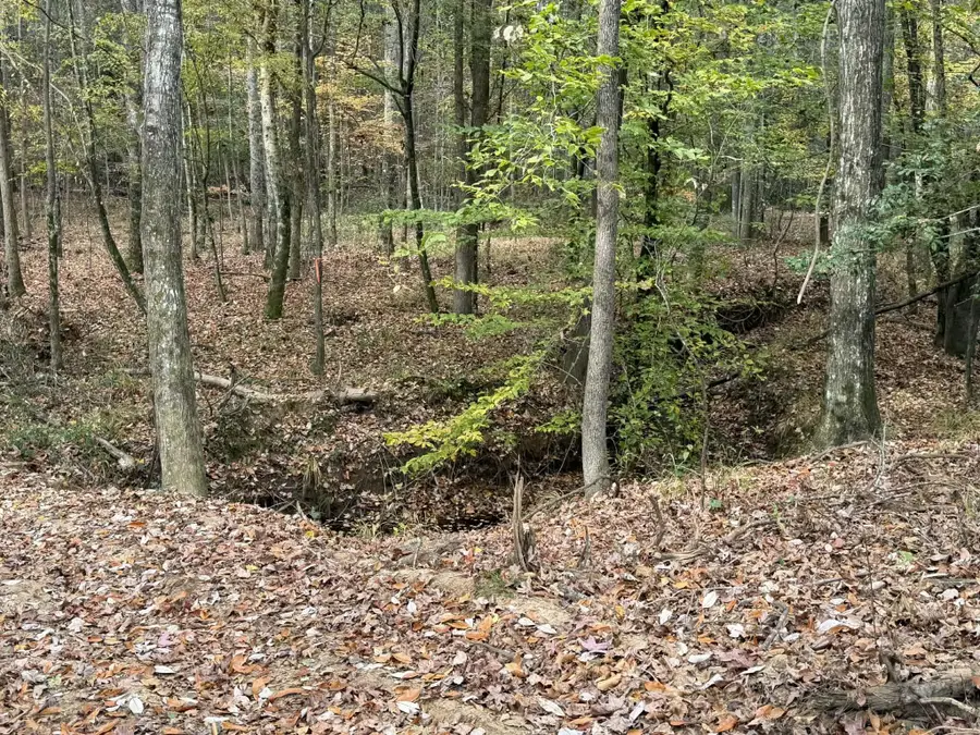 0 Cr 472, Meridian, MS 39301 - Image #3