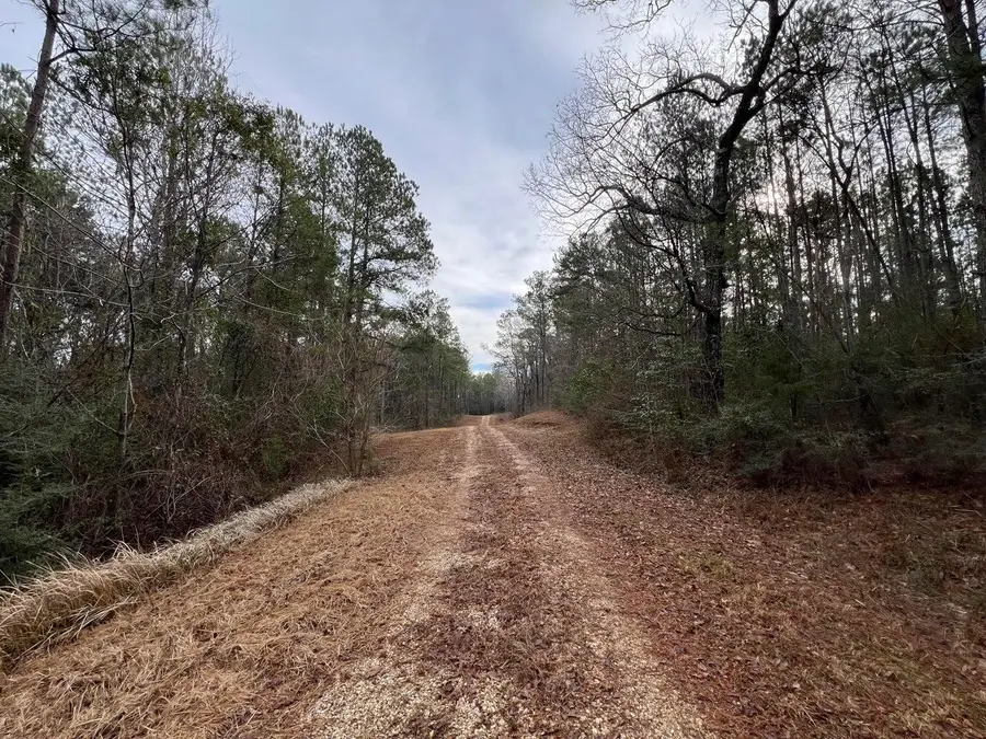 107 Fairview Dr., Petal, MS 39465 - Image #2