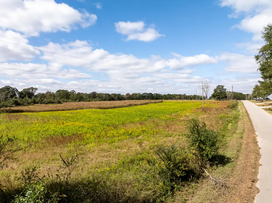 257 Higgins Rd., Sumrall, MS 39482 - Image #3