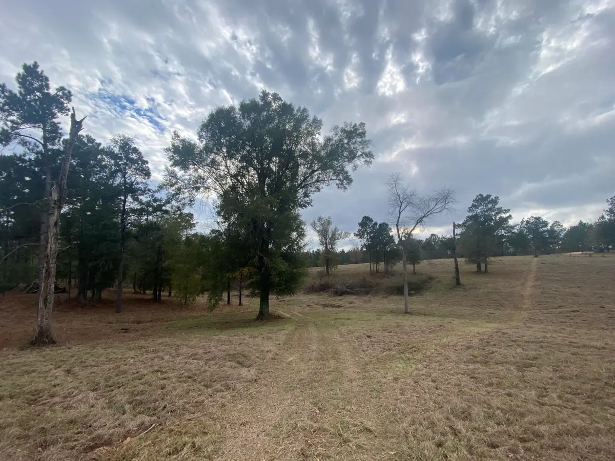 35 Acres Tatum Salt Dome Rd., Lumberton, MS 39455 - Image #1