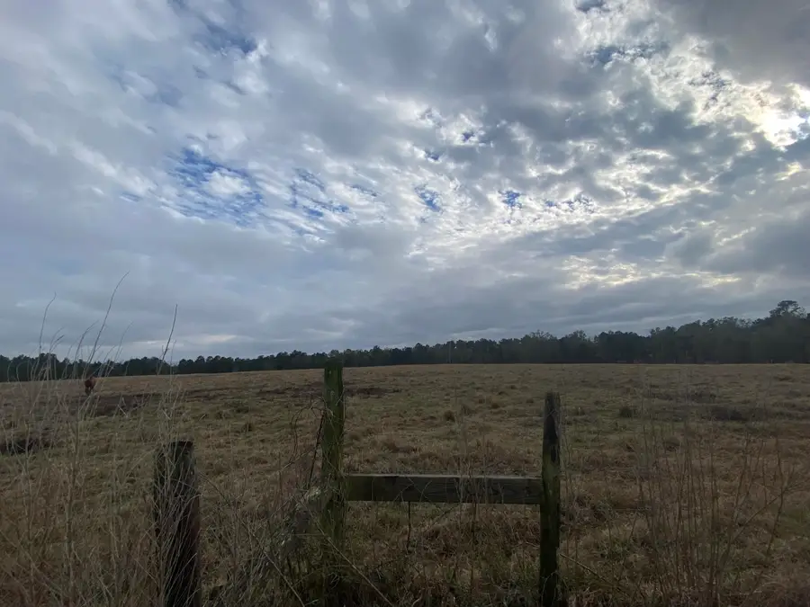 35 Acres Tatum Salt Dome Rd., Lumberton, MS 39455 - Image #2