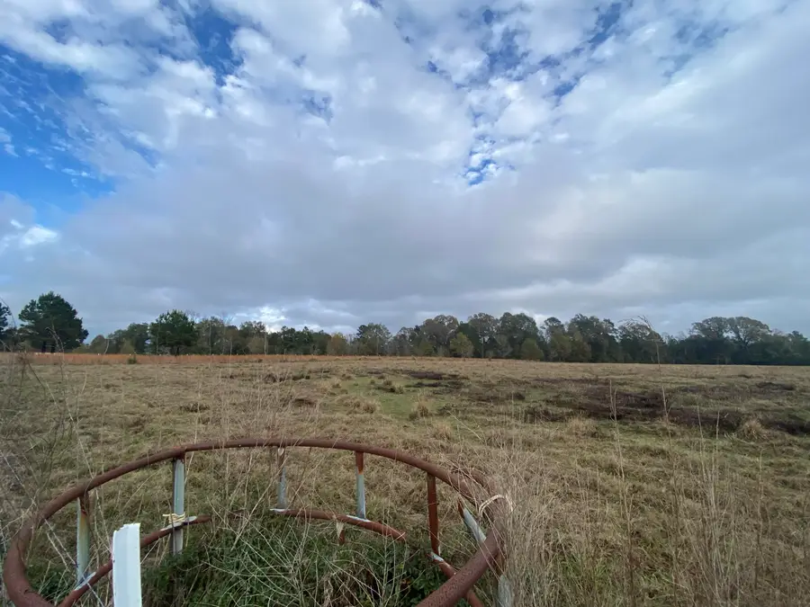 35 Acres Tatum Salt Dome Rd., Lumberton, MS 39455 - Image #3