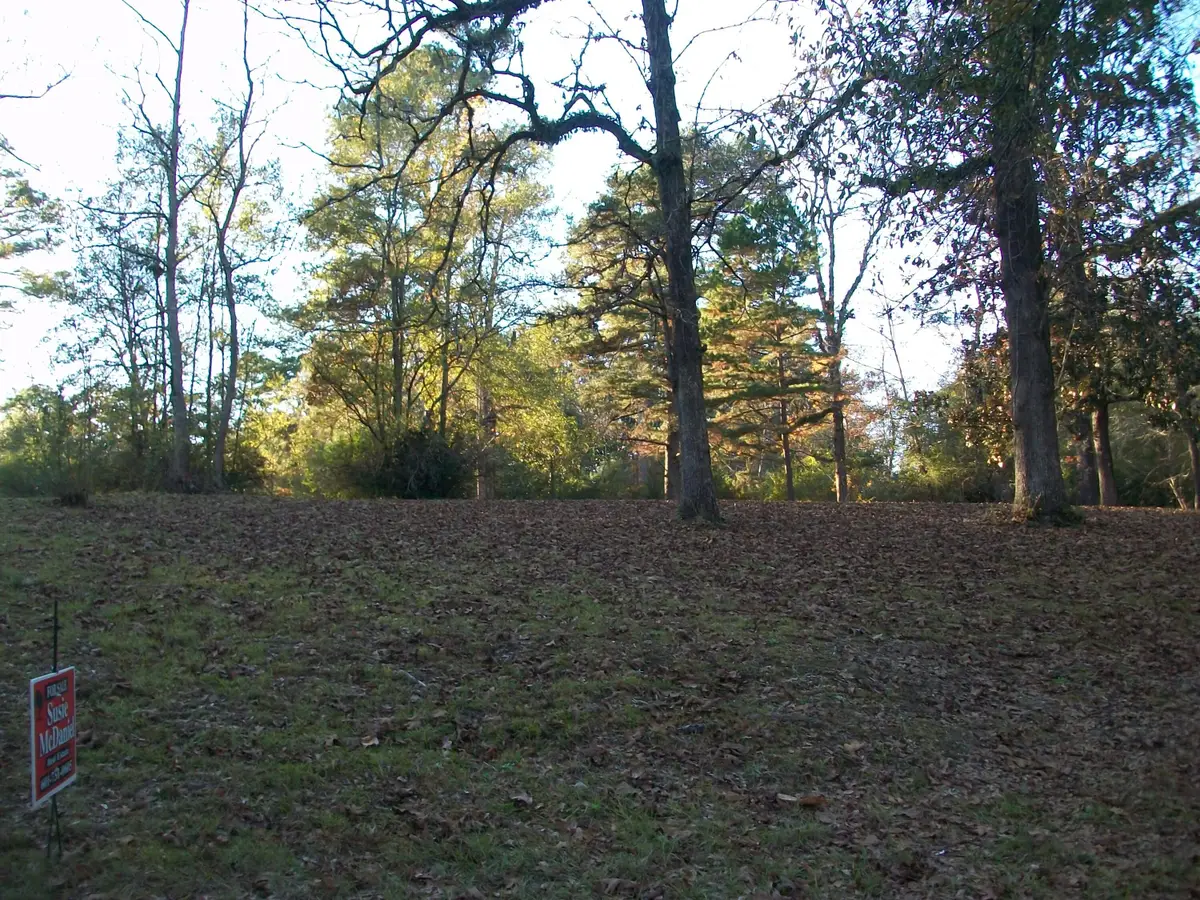 0 Broad St., Columbia, MS 39429 - Image #1