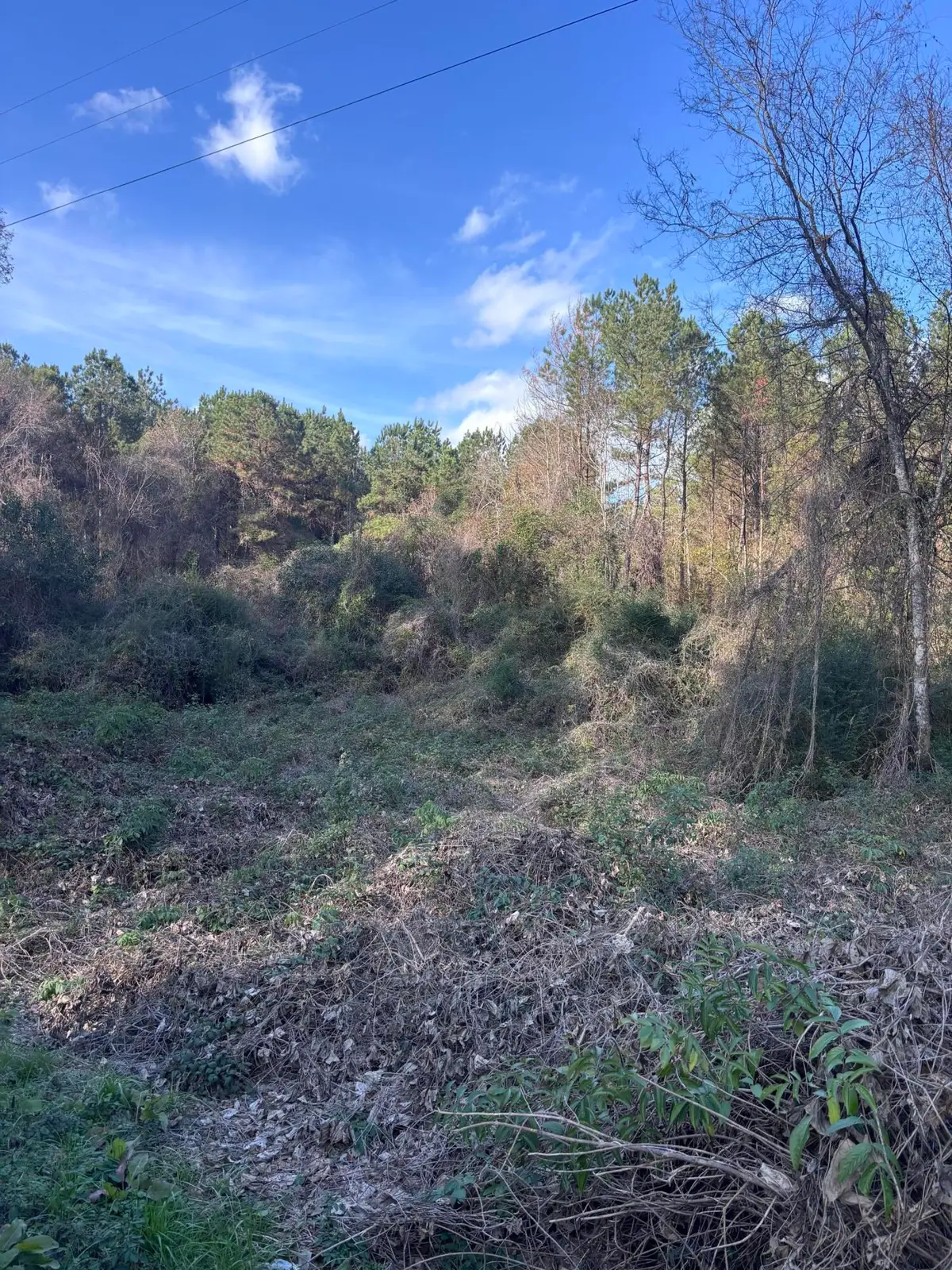 00 Jones Rd., Foxworth, MS 39483 - Image #1