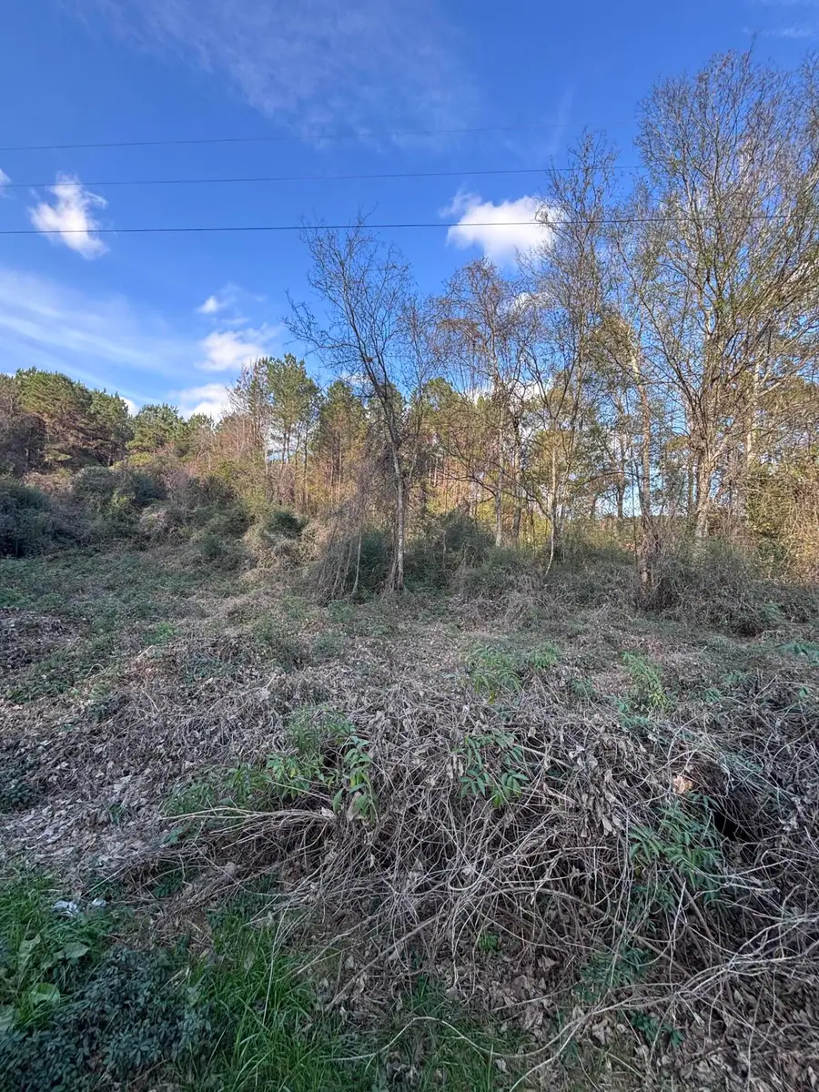 00 Jones Rd., Foxworth, MS 39483 - Image #2