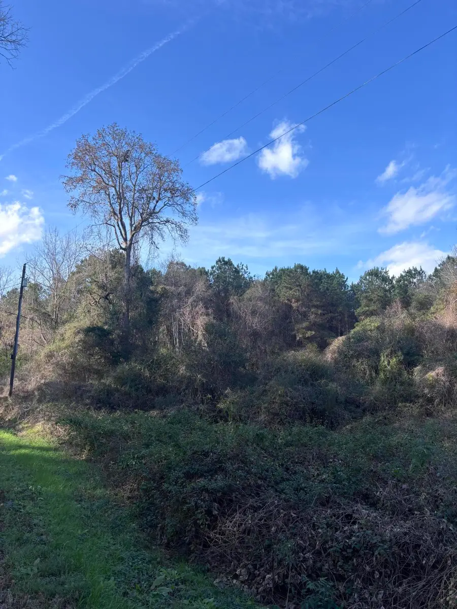 00 Jones Rd., Foxworth, MS 39483 - Image #3