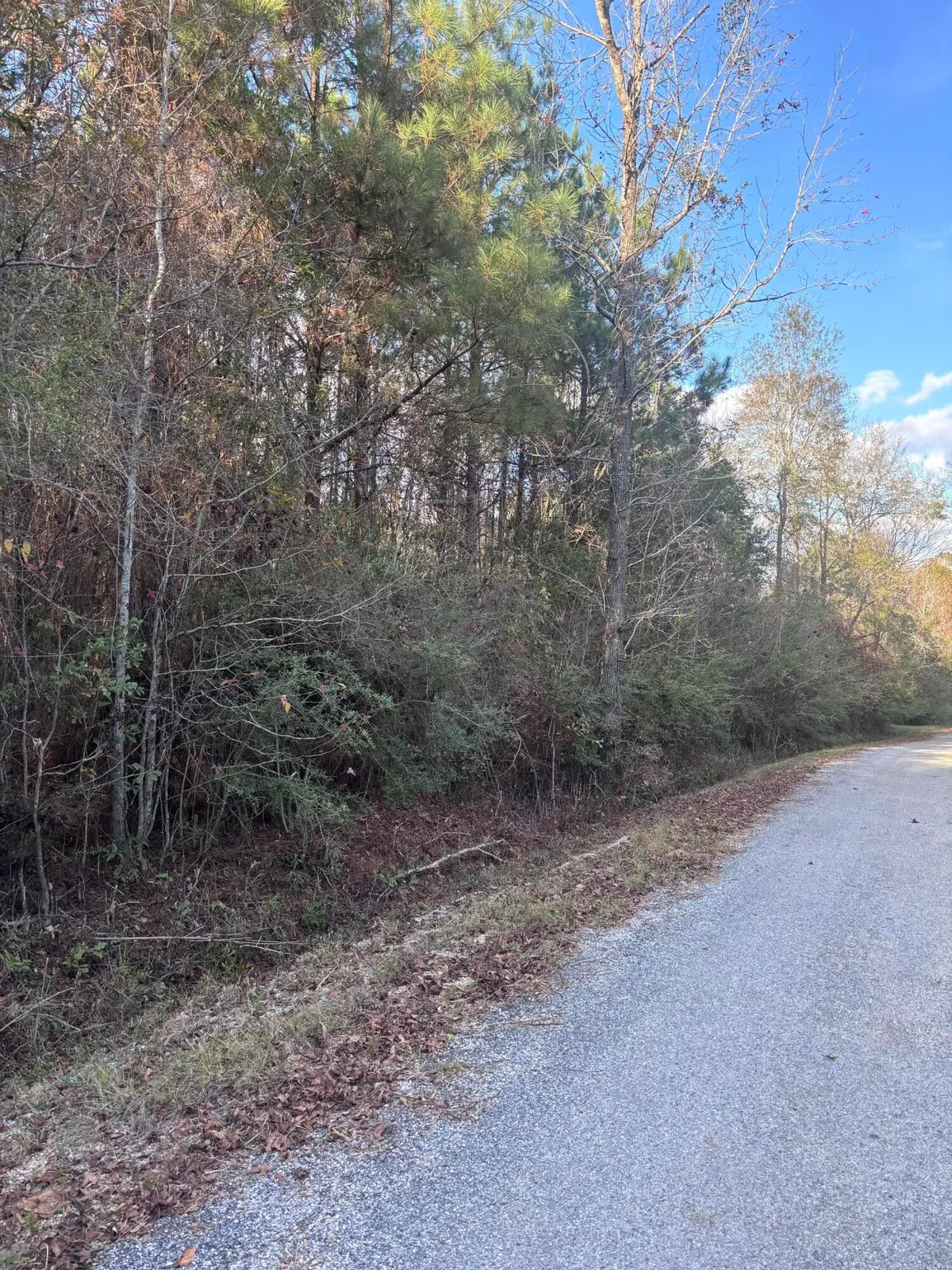 00 Williams Cutoff, Sumrall, MS 39482 - Image #1