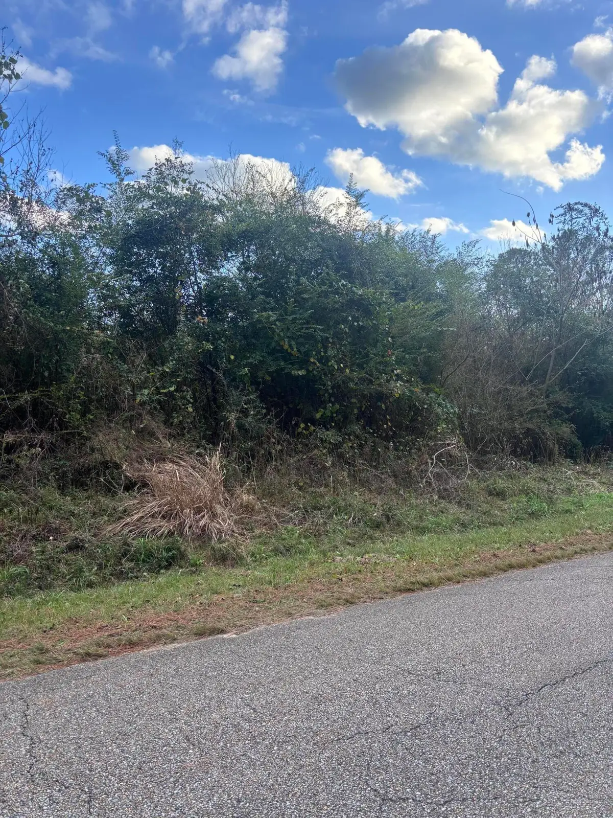 00 Phillips Rd., Sumrall, MS 39482 - Image #1