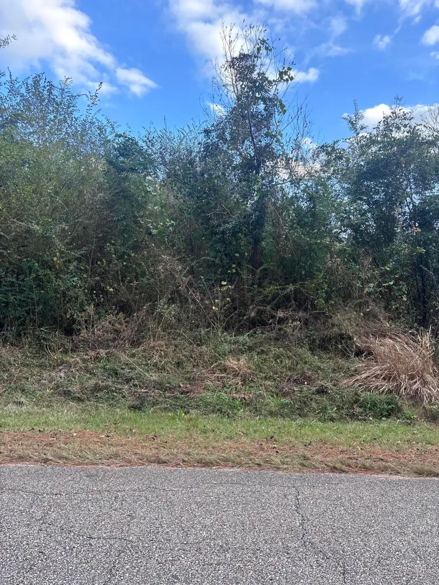 00 Phillips Rd., Sumrall, MS 39482 - Image #2