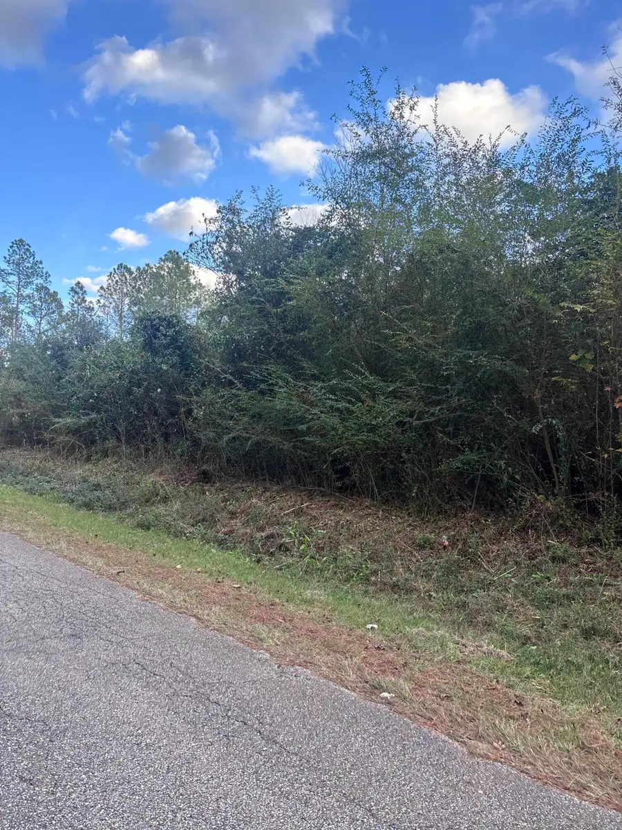 00 Phillips Rd., Sumrall, MS 39482 - Image #3