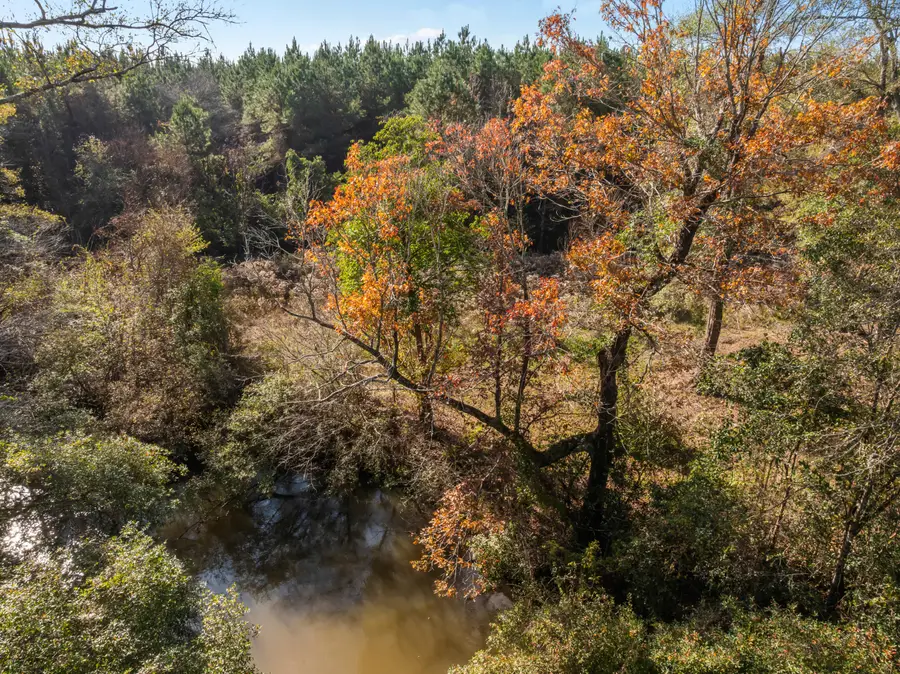 275 Sam Graham Rd., Prentiss, MS 39474 - Image #3