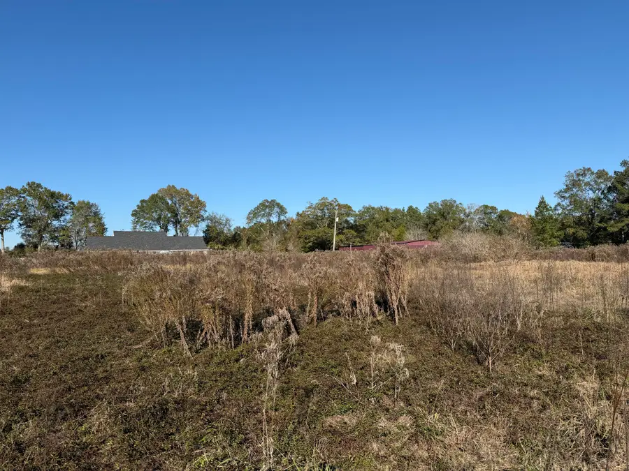 Parcel 2 Crenshaw Rd., Lucedale, MS 39452 - Image #3