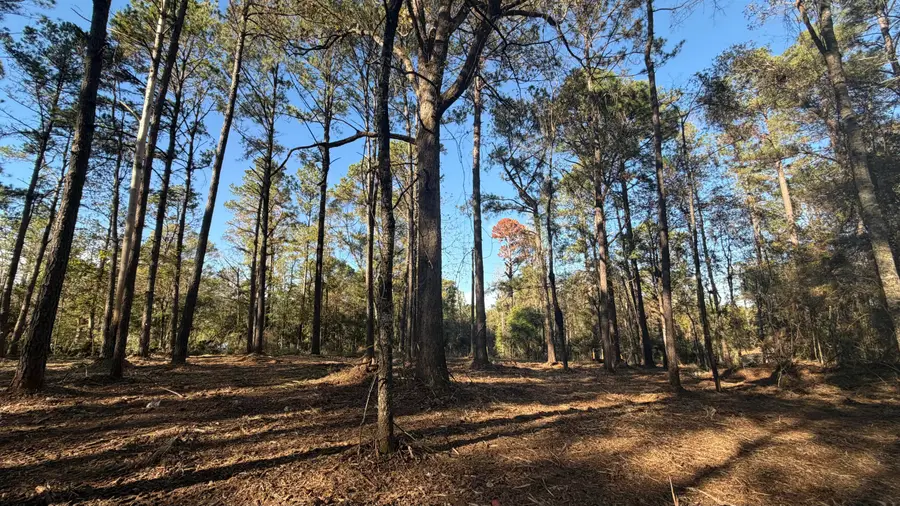 TBD Ms-48, Sandy Hook, MS 39478 - Image #2