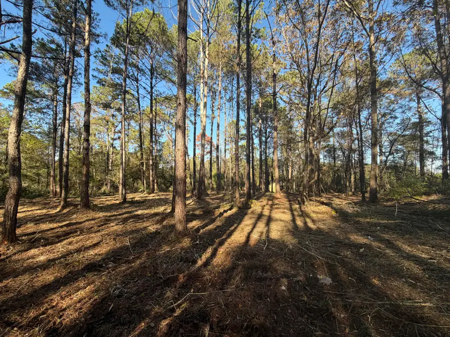 TBD Ms-48, Sandy Hook, MS 39478 - Image #3