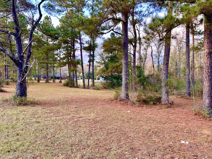 00 Highway 589, Purvis, MS 39475 - Image #2