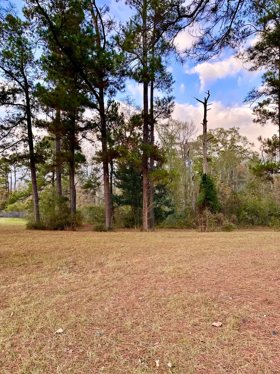 00 Highway 589, Purvis, MS 39475 - Image #3