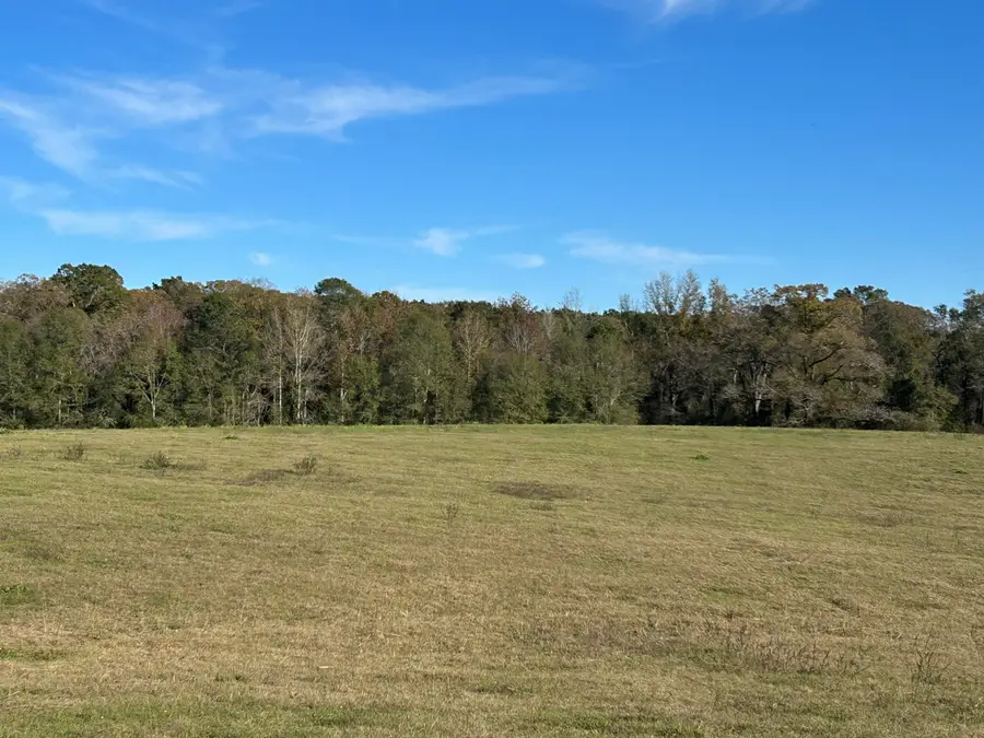 481 Shoemake Rd., Ovett, MS 39464 - Image #2