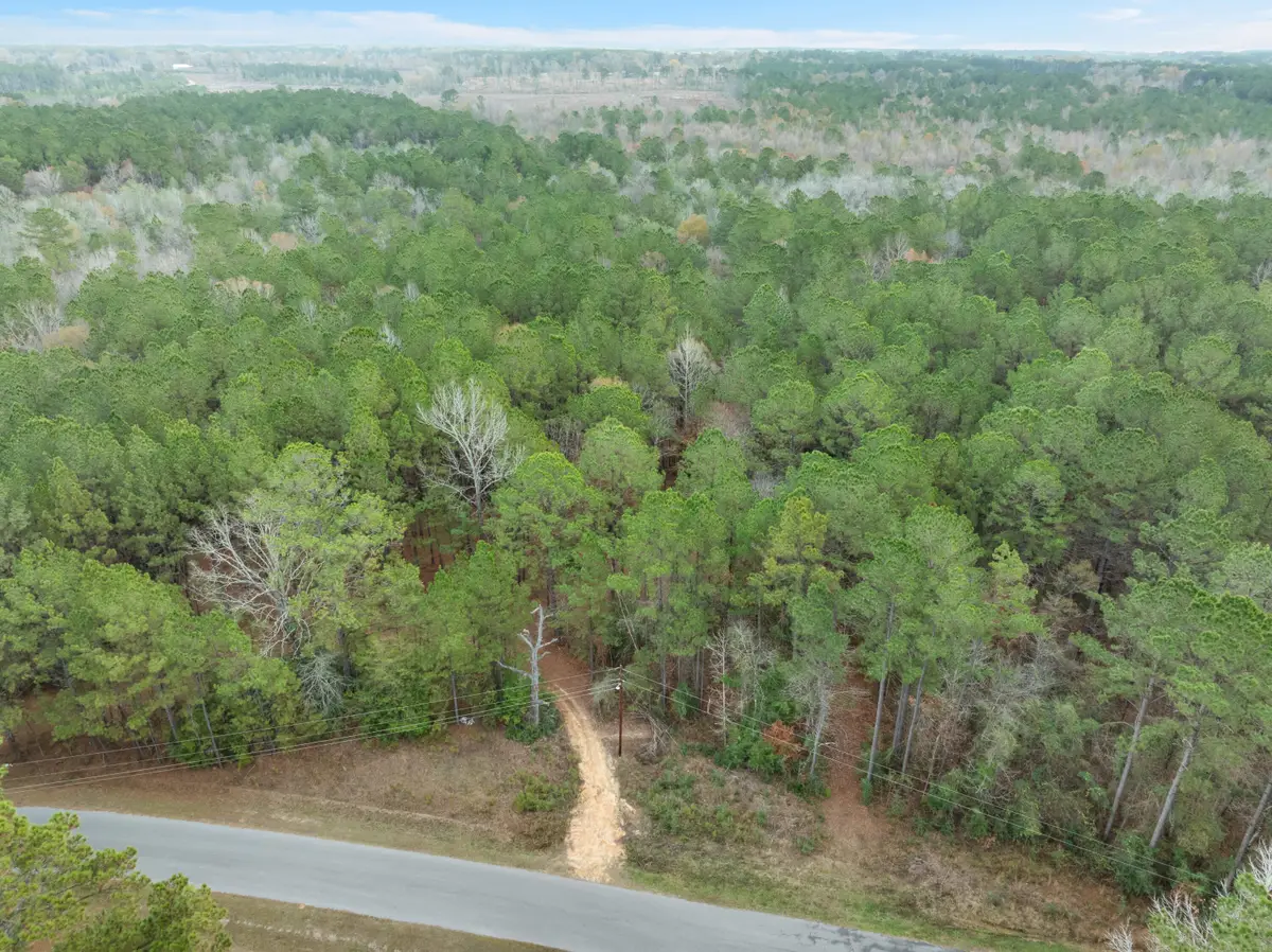 83.50 Acre Guthrie Carter Rd., Moselle, MS 39459 - Image #1