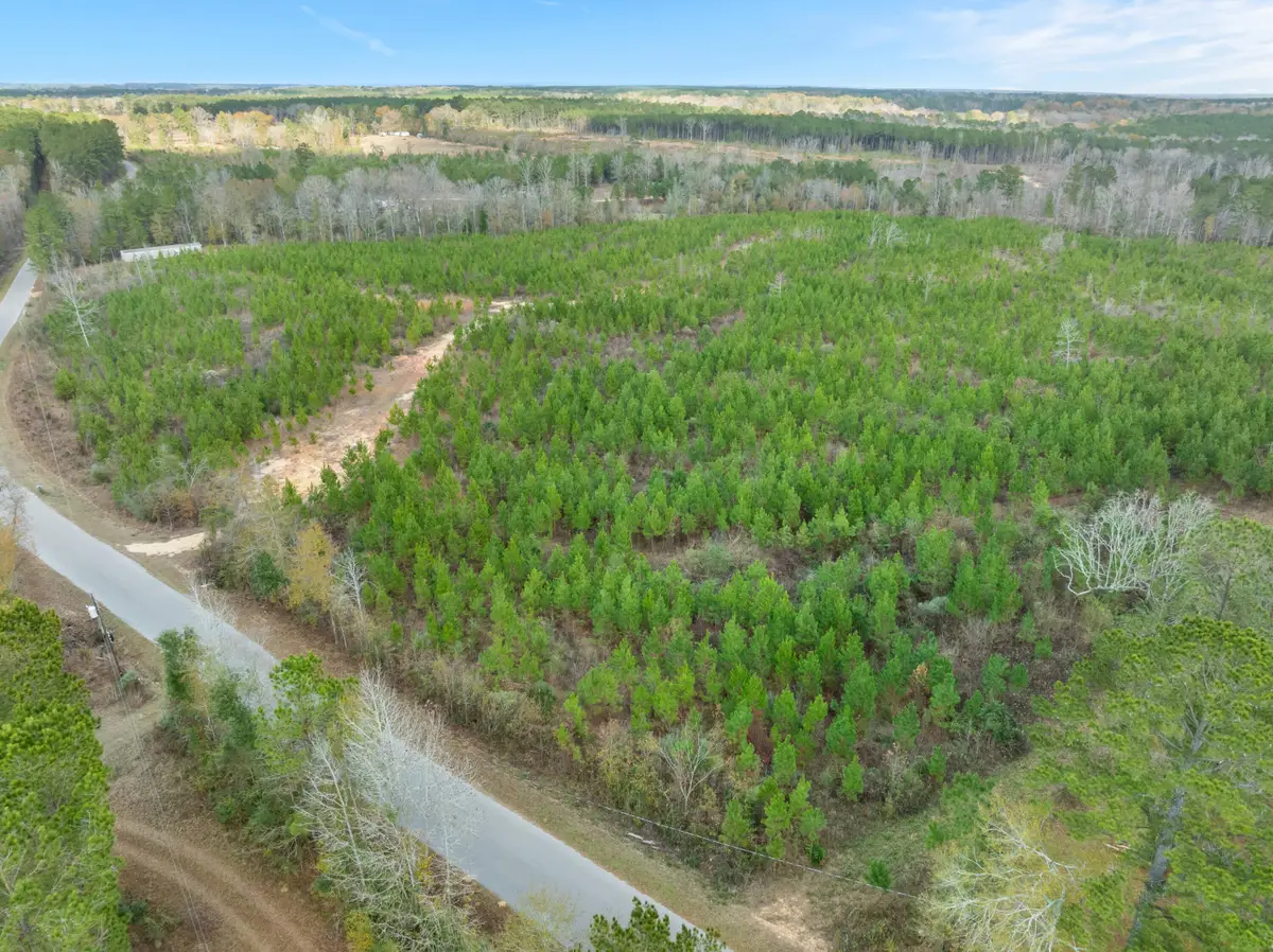 84.5 Acre Guthrie Carter Rd., Moselle, MS 39459 - Image #1