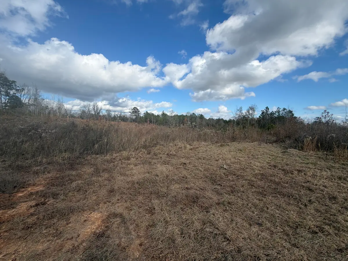 0 Clem Rd., Prentiss, MS 39474 - #1