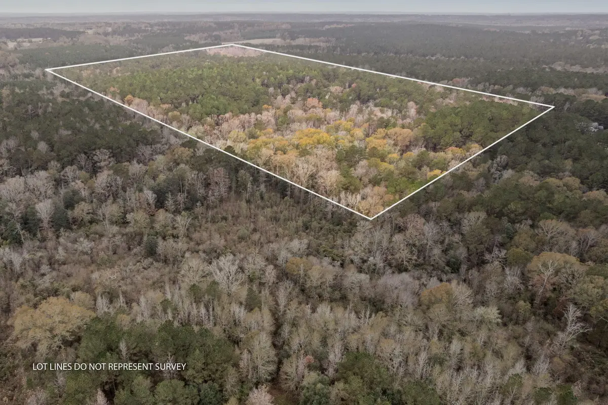 0 Hwy 44, Sumrall, MS 39482 - Image #1