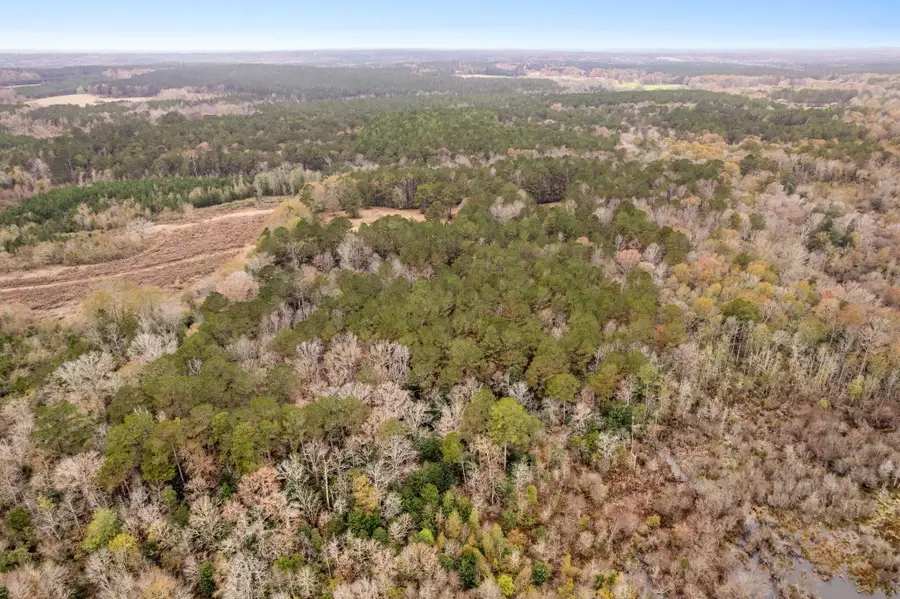 0 Hwy 44, Sumrall, MS 39482 - Image #2